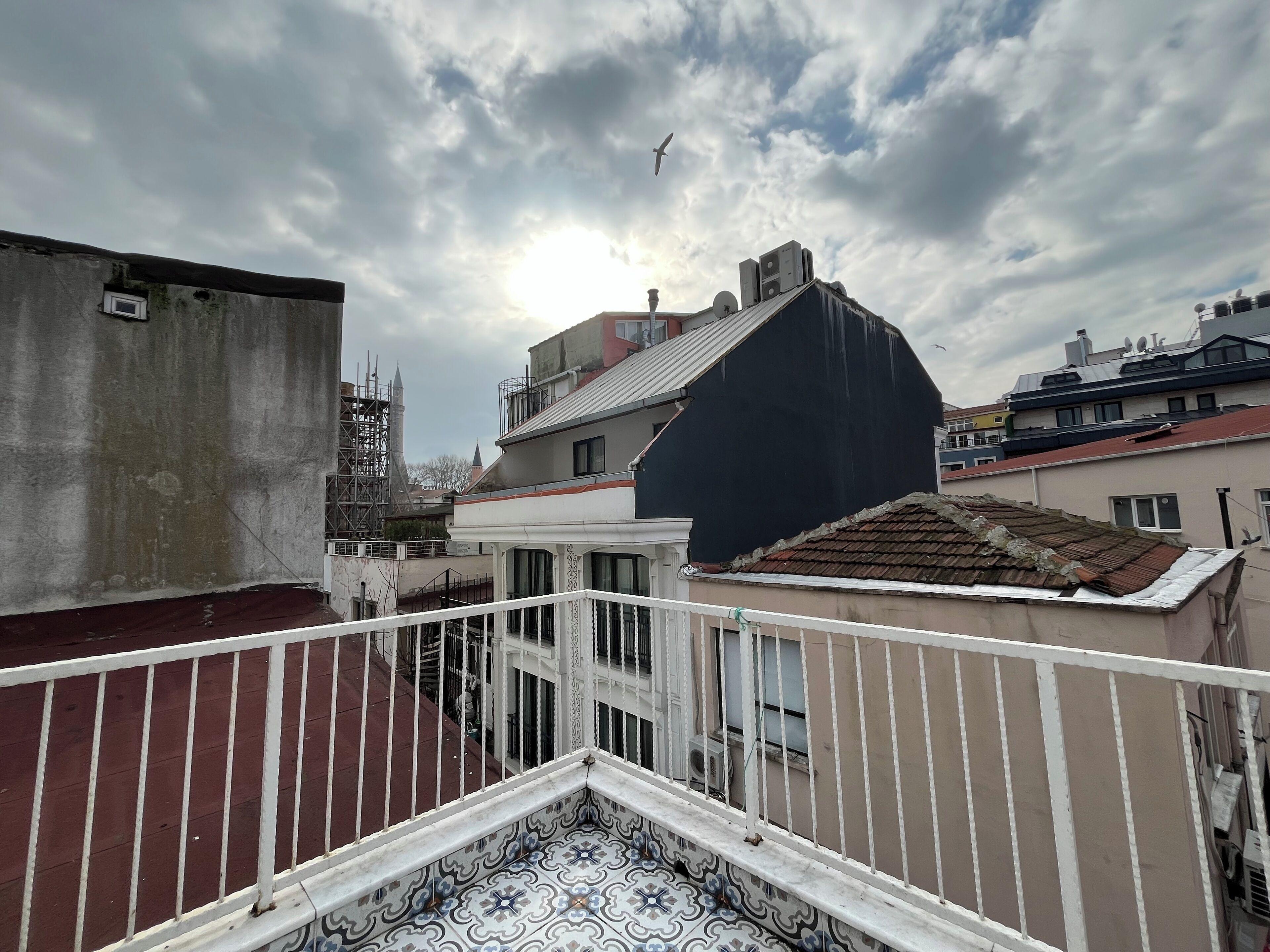 Le Safran — Photos 2